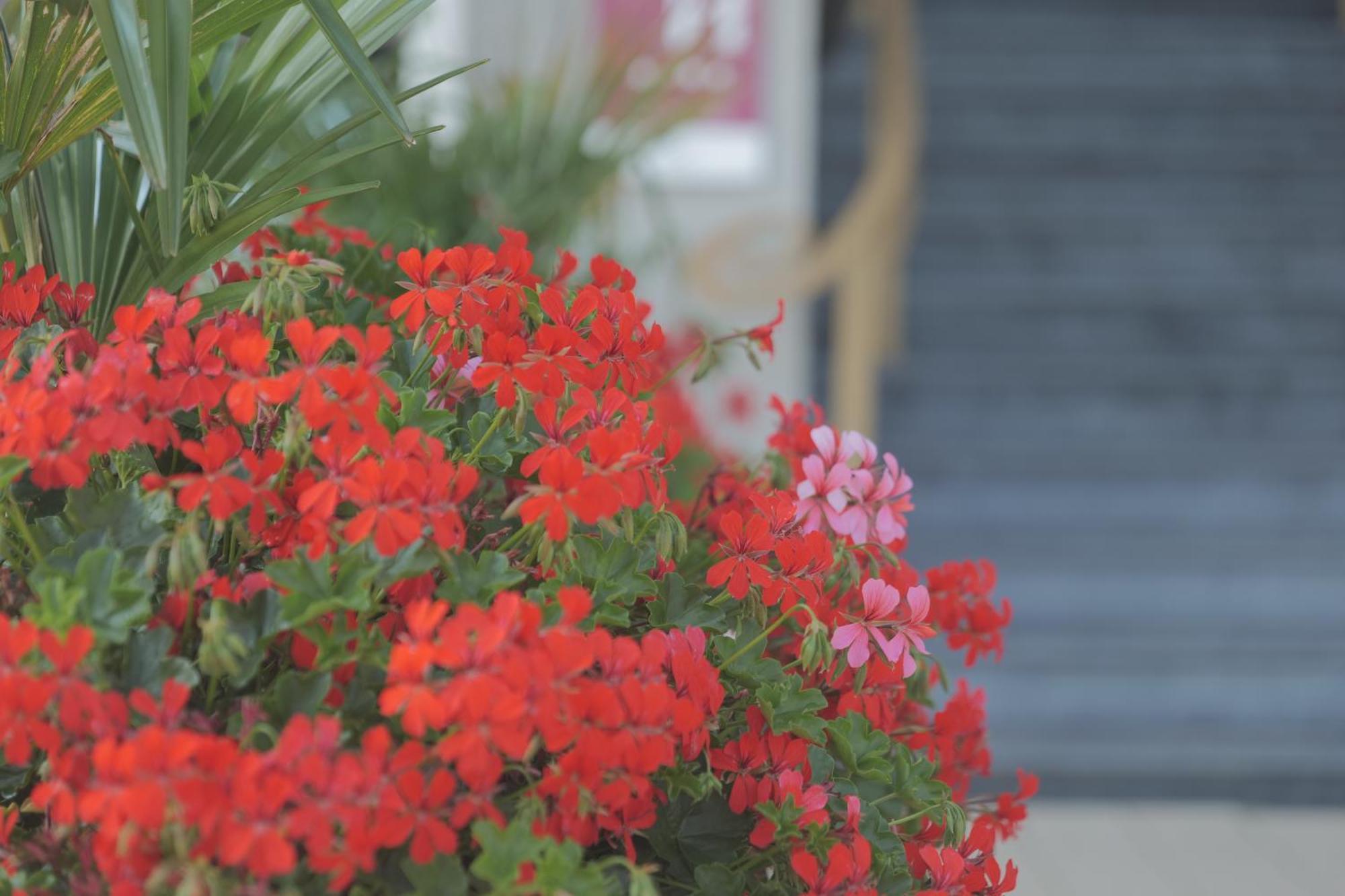 Hotel Merveilleux Cote Mer Dunkirk Екстериор снимка